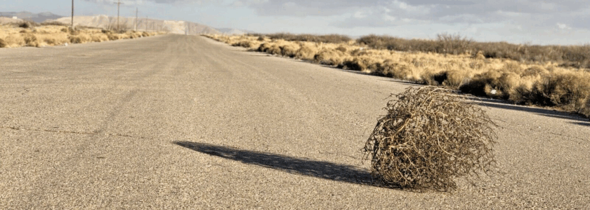 A cosa serve un blog nel 2025?